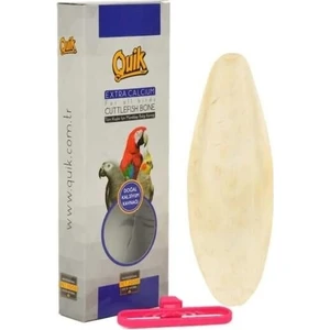 Büyük Boy Mürekkep Balığı (Kalamar) Kemiği