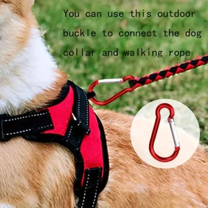 Adventure Mini Karabina, Farklı Renklerde, 5 Adet