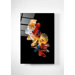 Shopping Haven Beta Balıkları Cam Tablo