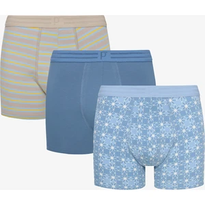 Blue Design Çok Renkli 3lü Boxer