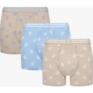 Pointed 3lü Çok Renkli Boxer  Külot