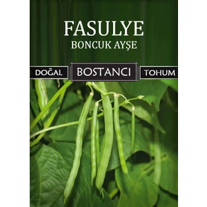 Yerli Sırık Boncuk Ayşe Fasulye Tohumu Doğal Yerli Taze Fasulye Tohumu