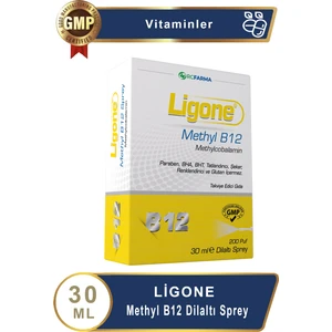 Methyl B12 Dilaltı Sprey 30 ml