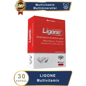 Multivitamin 30 Kapsül