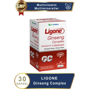 Ginseng Complex 30 Bitkisel Kapsül