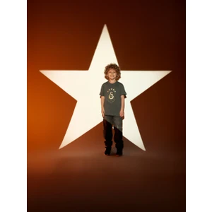 Gs Store Galatasaray 5 Yıldız Çocuk T-Shirt C251352