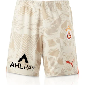 GS Store Galatasaray Puma 2024/2025 Kaleci Gri Şort 77967506