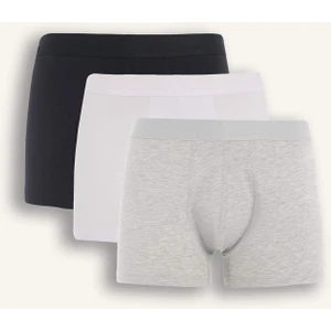 Loose Fit 3'lü Boxer C6555AX25SM