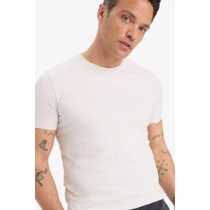 Slim Fit Dar Kesim Bisiklet Yaka Esnek Kumaş Kısa Kollu Tişört E2635AX25SM