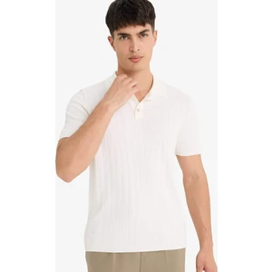 Standart Fit Polo Yaka Triko Kısa Kollu Tişört F6063AX25SM