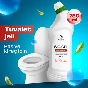 WC Gel Professional - Ağır Kir & Kireç Sökücü - Hijyenik Temizlik - Klozet, Lavabo, Fayans İçin - Hoş Kokulu - 750 ml