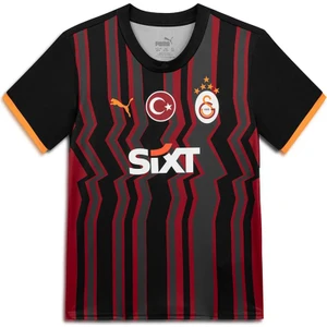 Galatasaray S.k. 24/25 Genç Üçüncü Forma