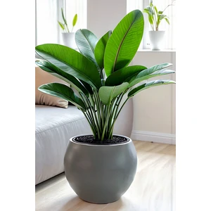 Dekoratif Modern Tasarım 27 Litre Küre Saksı Antrasit Renk