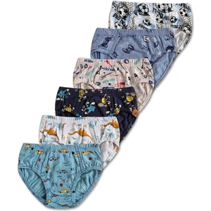 %95 Pamuklu Erkek Çocuk Slip Kilot Iç Çamaşır 6lı Set