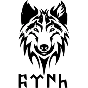 Bozkurt ve Göktürkçe Türk Yazısı Oto Özel Yeni Sticker Siyah 25 x 32 cm