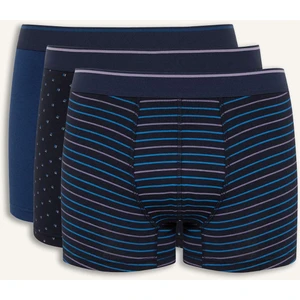 Regular Fit Çizgili 3'lü Boxer D9876AX25SP
