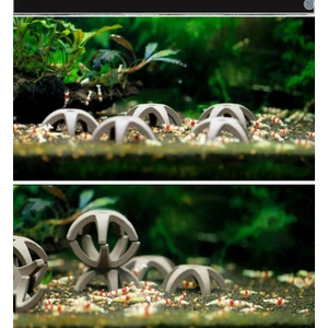 Akvaryum Karides Barınağı – Yıldız Formlu Dinlenme ve Gizlenme Alan