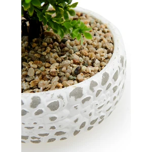 Dekoratif Çakıl Ağaç