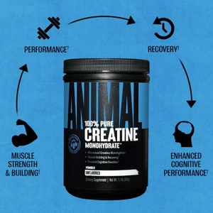 Creatine Monohydrate Monohidrat 500 gr - 100 Servis