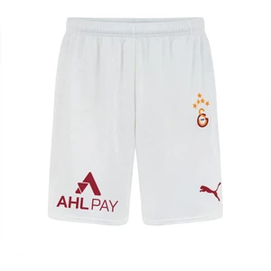 Galatasaray Gsk Home Shorts Wo S 24/25 Erkek Şort