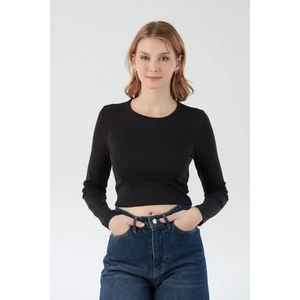 Basic Crop Body