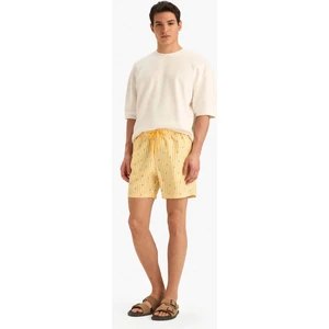 Çizgili File Astarlı Kısa Boy Deniz Şortu E0950AX25HS