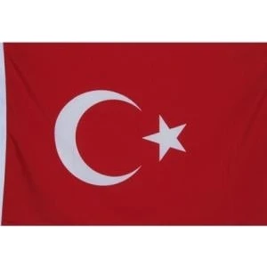 Türk Bayrağı 20X30 cm