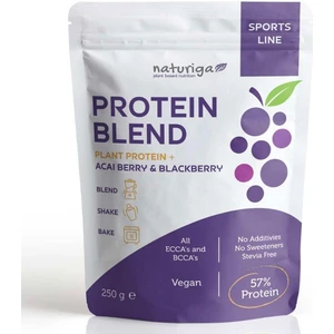 Berry Protein Karışımı 250 gr Vegan Antioksidan Zengini Acai ve Böğürtlen Aromalı Gıda Tozu