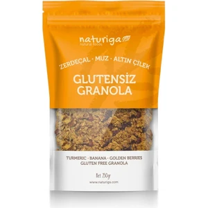 Glutensiz Zerdeçal & Altın Çilek GRANOLA(250GR)