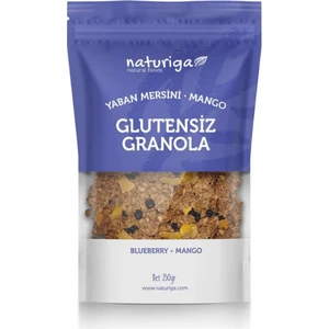 Glutensiz Yaban Mersini & Mango GRANOLA(250GR)