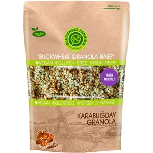 Glutensiz Fabrika Yulaf & Karabuğday Granola 300 gr (Yabanmersinli)