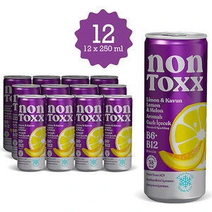 Non Toxx Nontoxx Limon & Kavun Aromalı, Sirkeli, Gazlı İçecek 250 ML