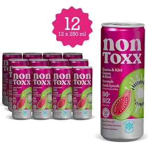 Non Toxx Nontoxx Guava & Kivi Aromalı, Sirkeli, Gazlı İçecek 250 ML