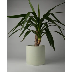 Dekoratif Büyük Boy Beton Saksı - Delikli + Tabak - Silindir 4.5l - 20X18 cm