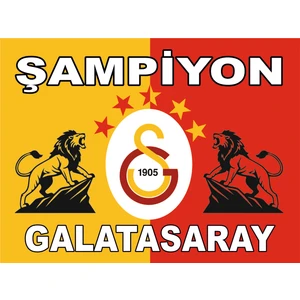Realreklamdayiz Galatasaray 5 Yıldız Bayrak
