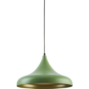 Mylights  Metal Yeşil  Sarkıt Avize Modern Spor Avize  35CM