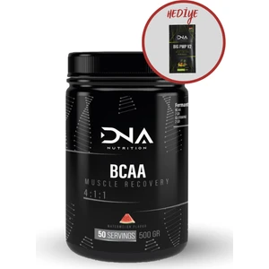 Dna Nutrition Bcaa 4:1:1 Karpuz Aromalı 500 gr