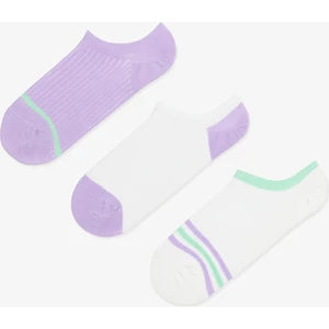 Purple Stripe 3lü Sneaker Çorap