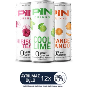 Ayrılmaz Üçlü - Hibiskus & Cool Lime & Orange Mango - Şekersiz & Kalorisiz 250 ml x 12 Adet Ice Tea