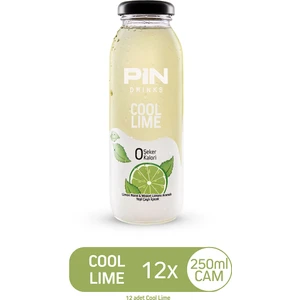 Cool Lime - Şekersiz & Kalorisiz - 250 ml x 12 Adet Ice Tea