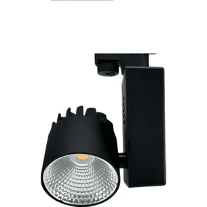 Tekwat Ray Spot 40 Watt Siyah Kasa