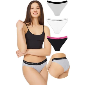 Pamuklu Basic Kadın Bikini Külot 3'lü Paket - 4