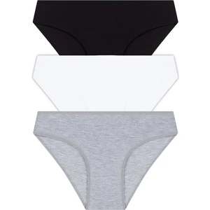 Basic Pamuklu Kadın Bikini Külot 3'lü Paket - 4
