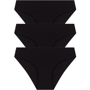 Basic Pamuklu Kadın Bikini Külot 3'lü Paket - 3