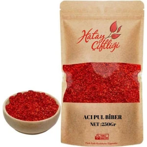 Kırmızı Pul Biber Acı 250GR.