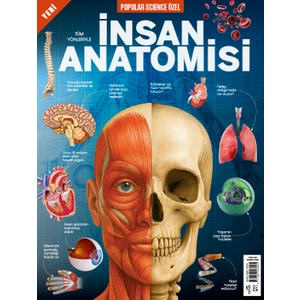 Insan Anatomisi