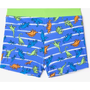 Renkli Dinozor Desenli Erkek Çocuk Boxer Mayo