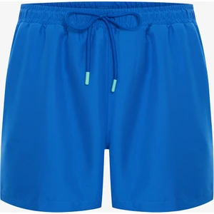 Mavi Erkek Şort Mayo