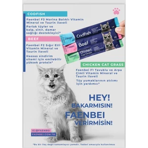 Faenbeı Kedi Krema 6lı Paket  10 Paket