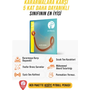 Coated Seri Akustik Gitar Teli Cag 10-47 Sl